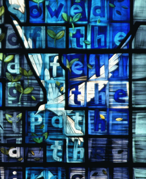 Window detail — seed and growth