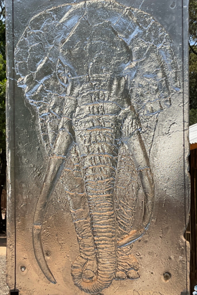 Shattered Elephant 3 stages, float glass fusing.