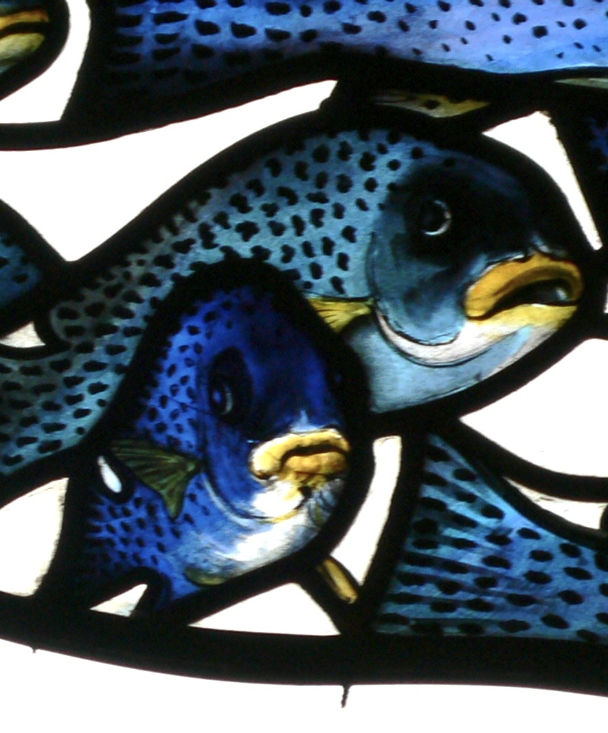 Main Project Image 1