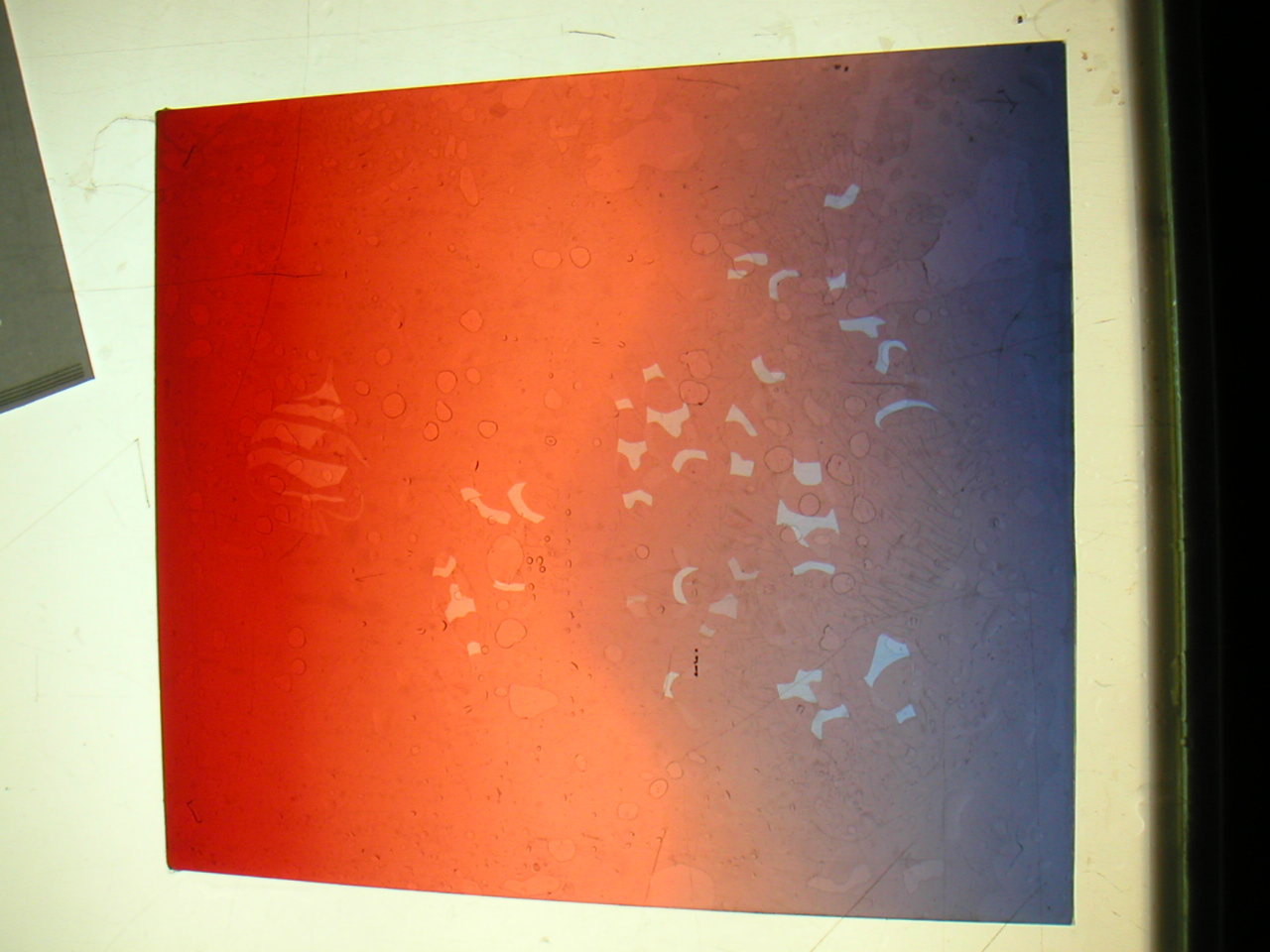 Double flashed glass — red over blue over clear, before painting. The clownfish shapes beginning to emerge.