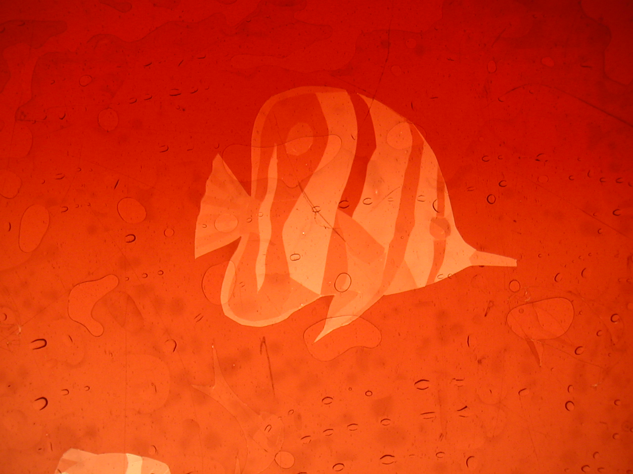 The panel at an intermediate stage — clownfish outlines visible as white resist against the orange-red ground