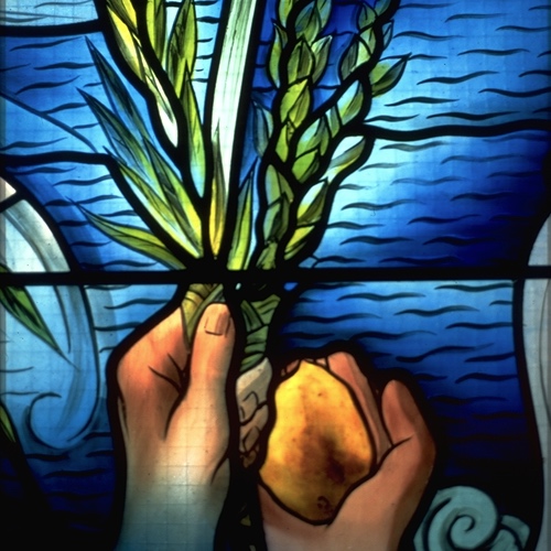 Sukkot window — detail
